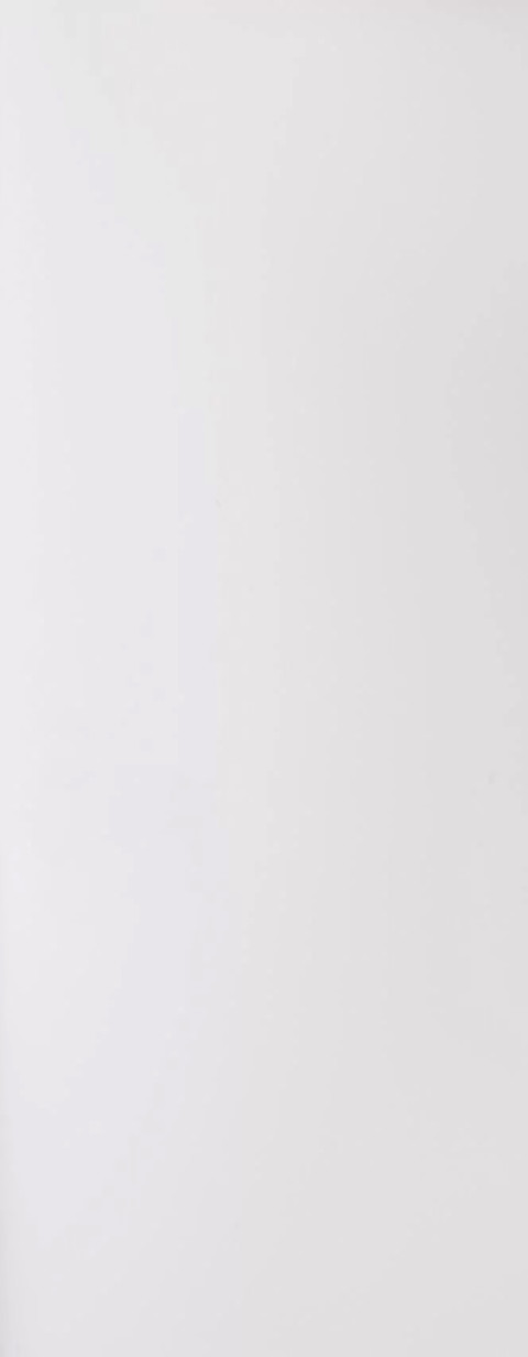 FD30 Pre-Primed NMA